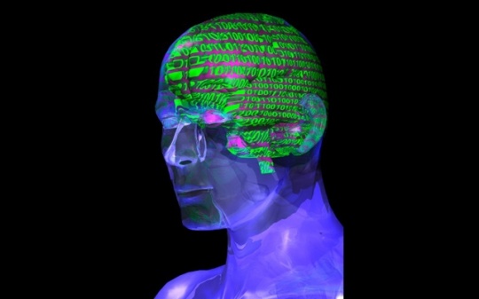 Human Brain Perceives Numbers by Mapping