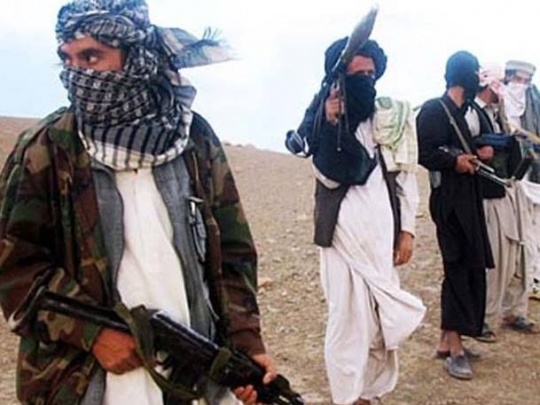 Pakistan to Release 12 Taliban Militants