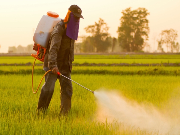 Are There Pesticides In Your Food?