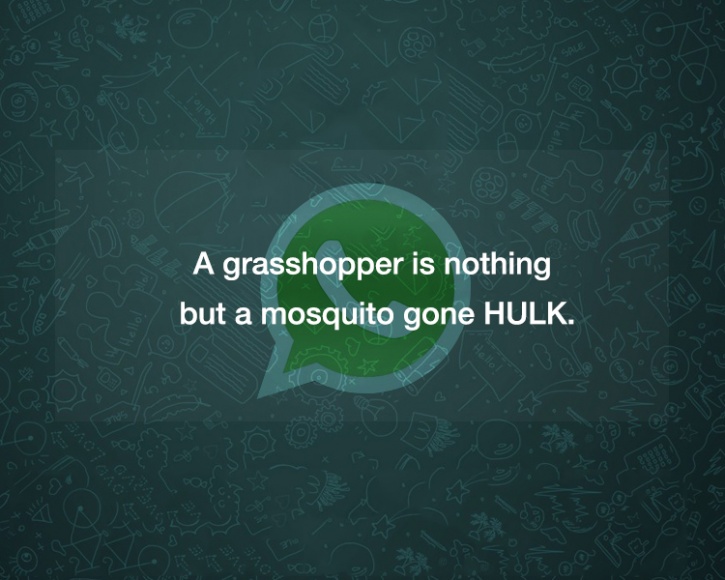 15 Best WhatsApp Statuses You'll Ever Come Across