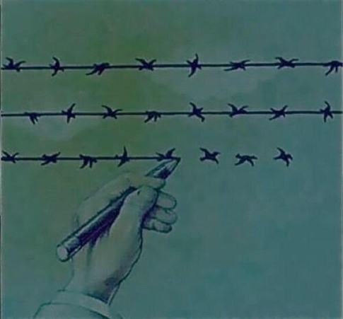 barbed wire and birds 