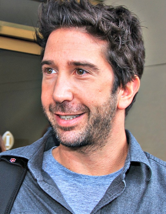 Schwimmer Now Part of 'Irreversible'