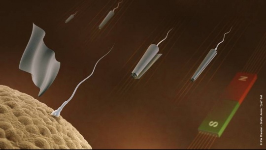 Remote-Controlled Sperm Robots