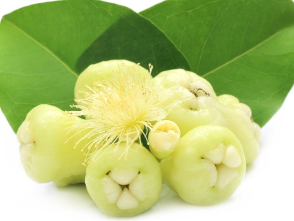 Healthy Food: Health Benefits Of White Jamun