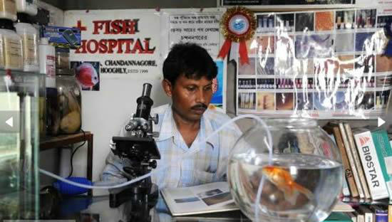 fish hospital