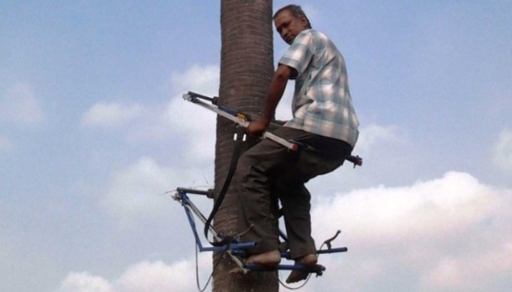 Mechanical Tree Climber