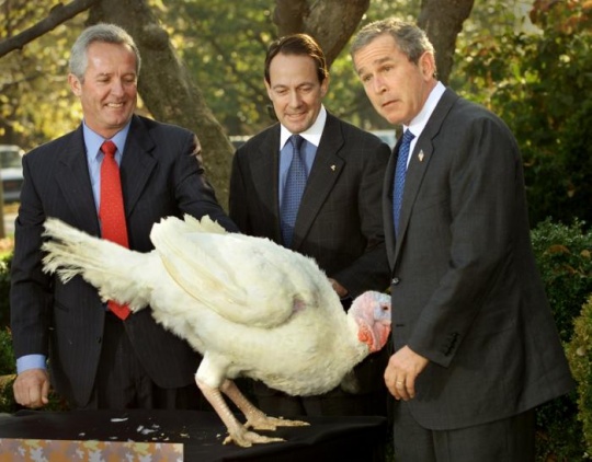 George W Bush with the Thanksgiving Turkey