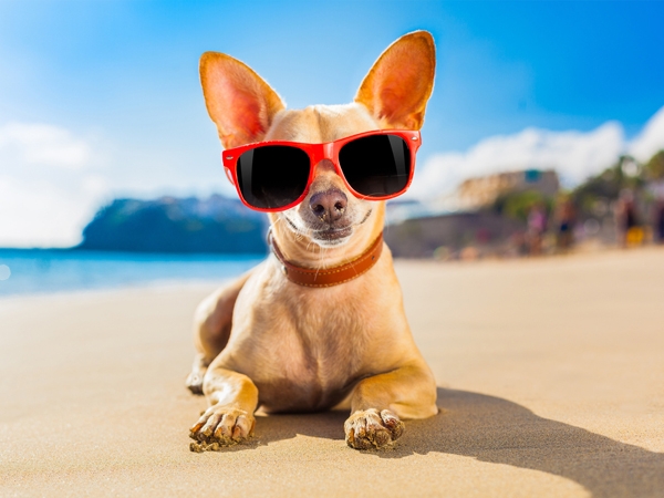 7 Ways To Protect Your Eyes This Summer