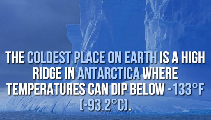 19 Weird Facts You Had No Idea About But Should