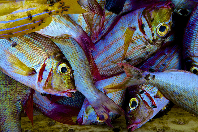 13 Facts You Didn't Know About The Andaman And Nicobar Islands 13 Facts You Didn't Know About The Andaman And Nicobar Islands