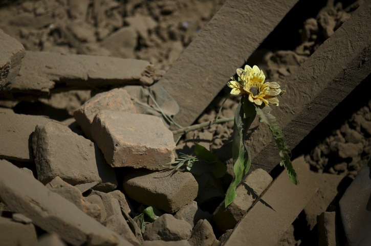 A flower grows among the rubble