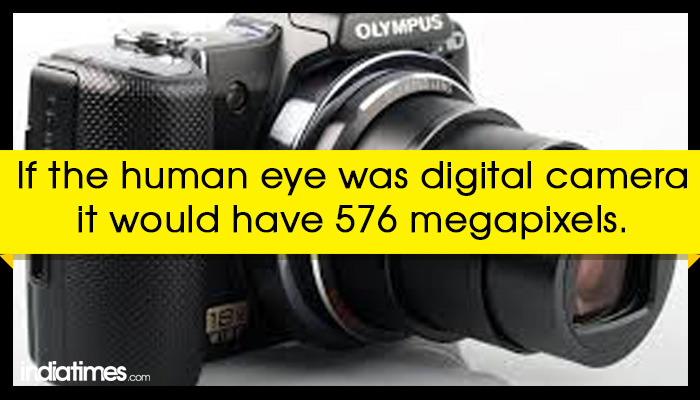 18 Facts About The Human Body That Put A Lot Of Things ...