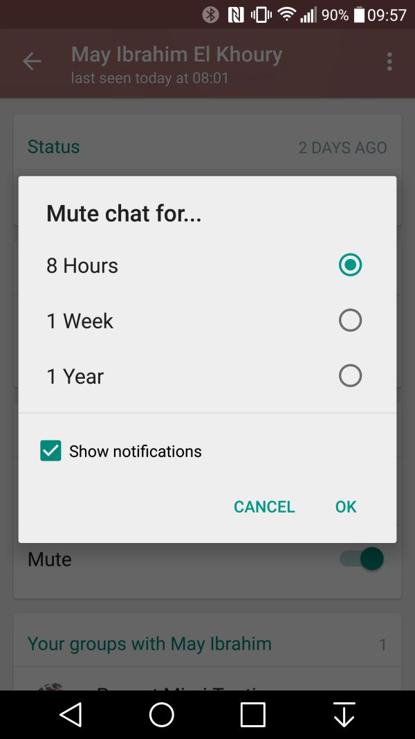 WhatsApp mute chat
