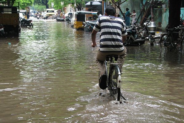 Chennai Flood Diseases