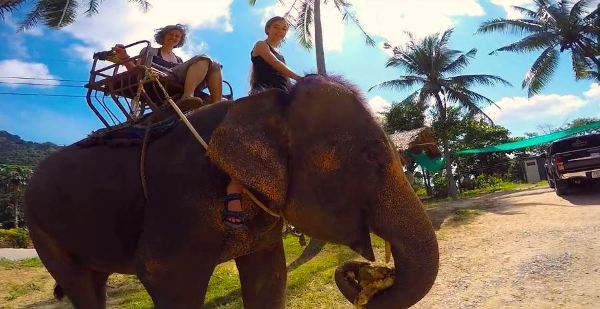 Elephant ride at Thailand