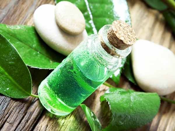 6 Uncommon Uses Of Tea Tree Oil