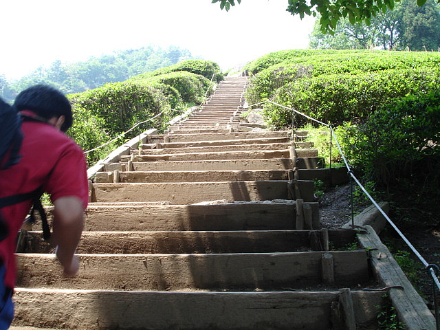 Stairs run. Stairs run