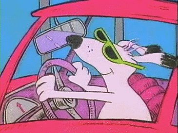 Cartoon dog driving