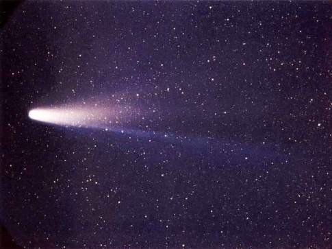 hayleys comet
