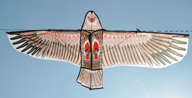 Eagle kite
