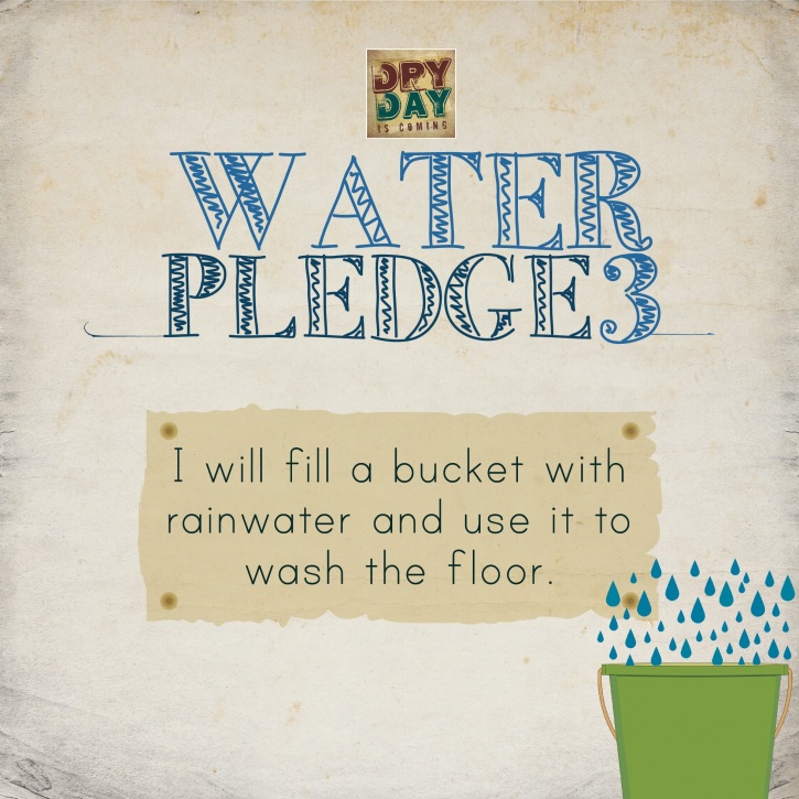 water pledge