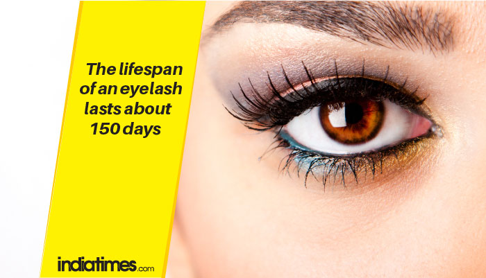 29 Bizarre Facts About The Human Body That Are Hard To Believe