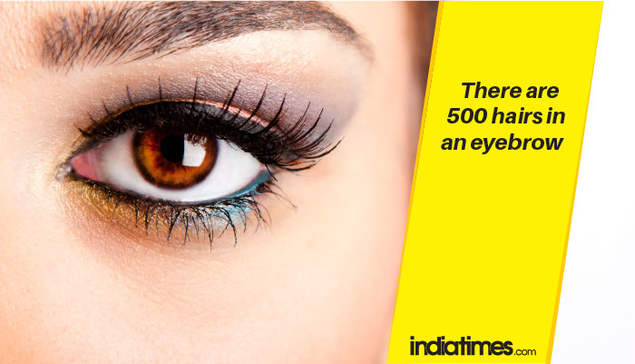 29 Bizarre Facts About The Human Body That Are Hard To Believe