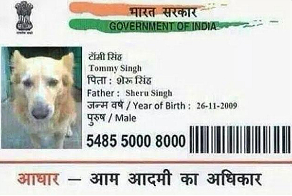 aadhar card for dog sheru singh
