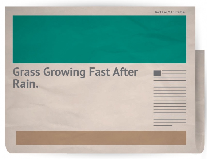 21 Ironic News Headlines That'll Literally Make You Go WTF!