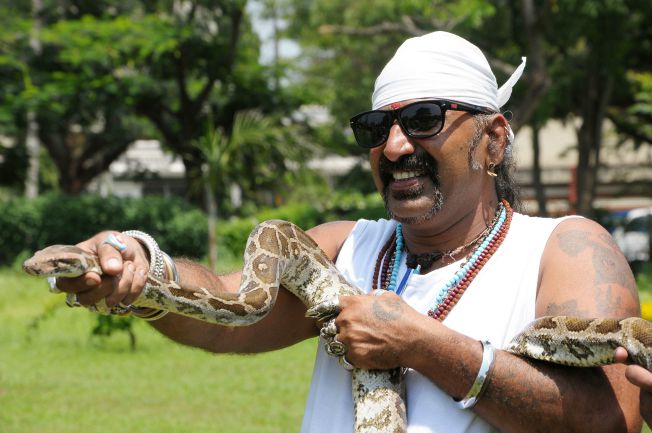 Picture of Snake Shyam flaunting his reptile-catching abilities