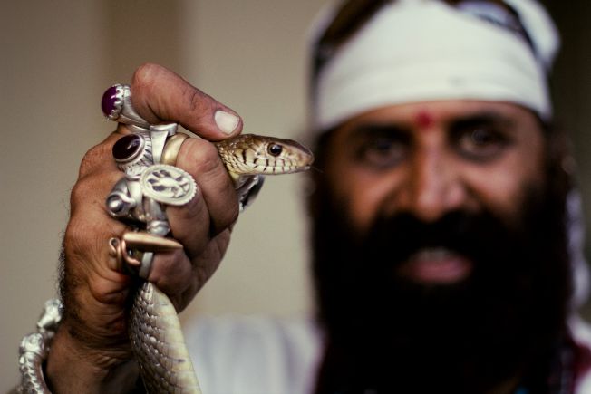 Pictures of Snake Shyam flaunting his reptile-catching abilities