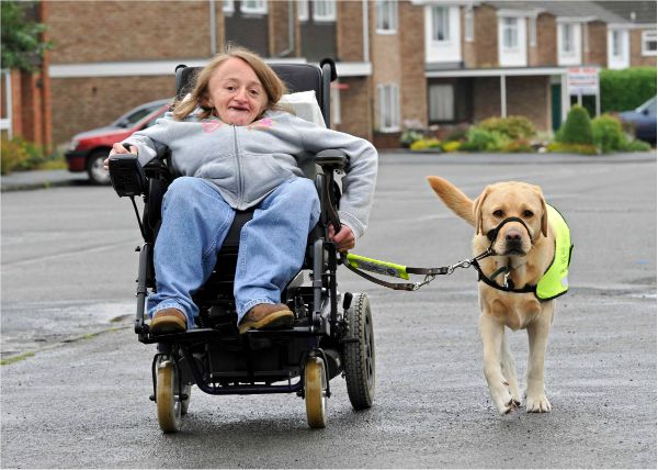 Wheelchair Assisting Dogs