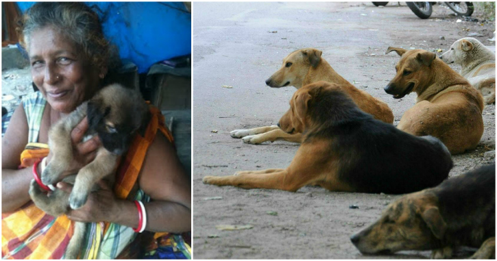 During The Day She's Just Another Ragpicker. By Night She Is Mother To 400 Of Delhi's Strays