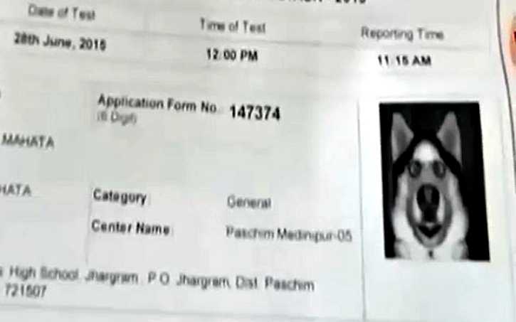Dog's face of WB admit card