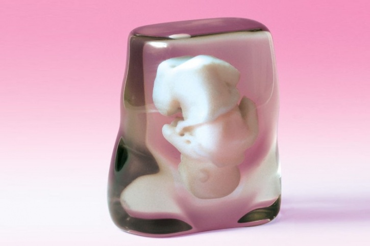 3D Print Fetus
