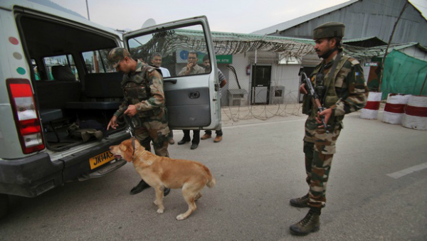 army india dogs