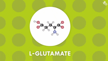 So What Exactly Is The Difference Between Glutamate and MSG