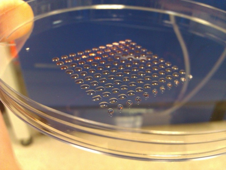3D Printed Stem Cells