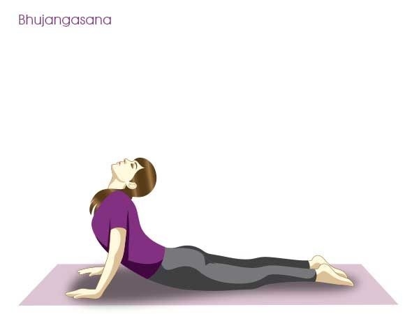 bhujangasana cobra pose