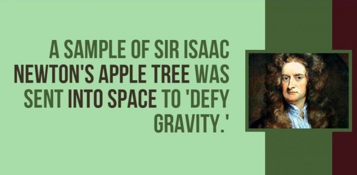 14 Most Amazing Facts About The Universe