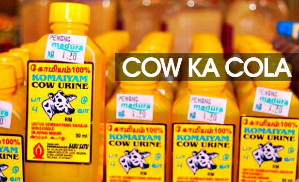 cow ka cola
