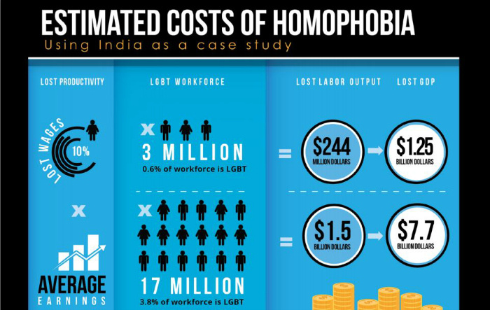homophibia economic cost india