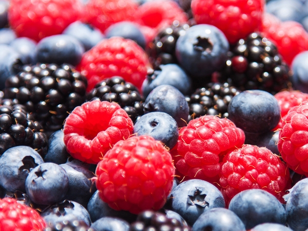 10 Brain Foods You Need To Know About