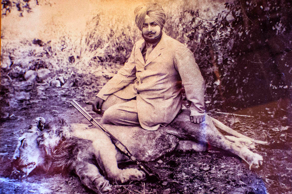 lion hunting india