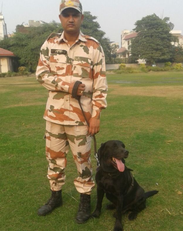 rex dog india k9 security