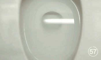 phone dropping in toilet