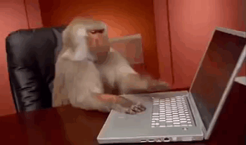 monkey working on laptop