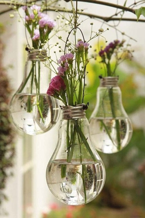 bulb plant holder