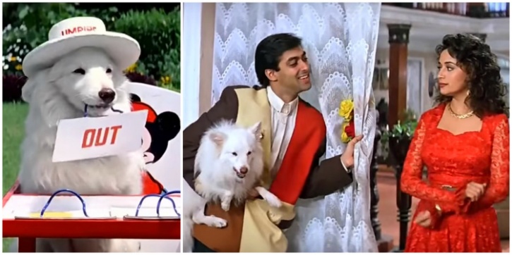 10 Iconic Pets/Animals In Bollywood Movies | Instant Bollywood