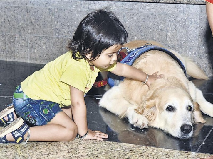 therapy dogs mumbai airport 2